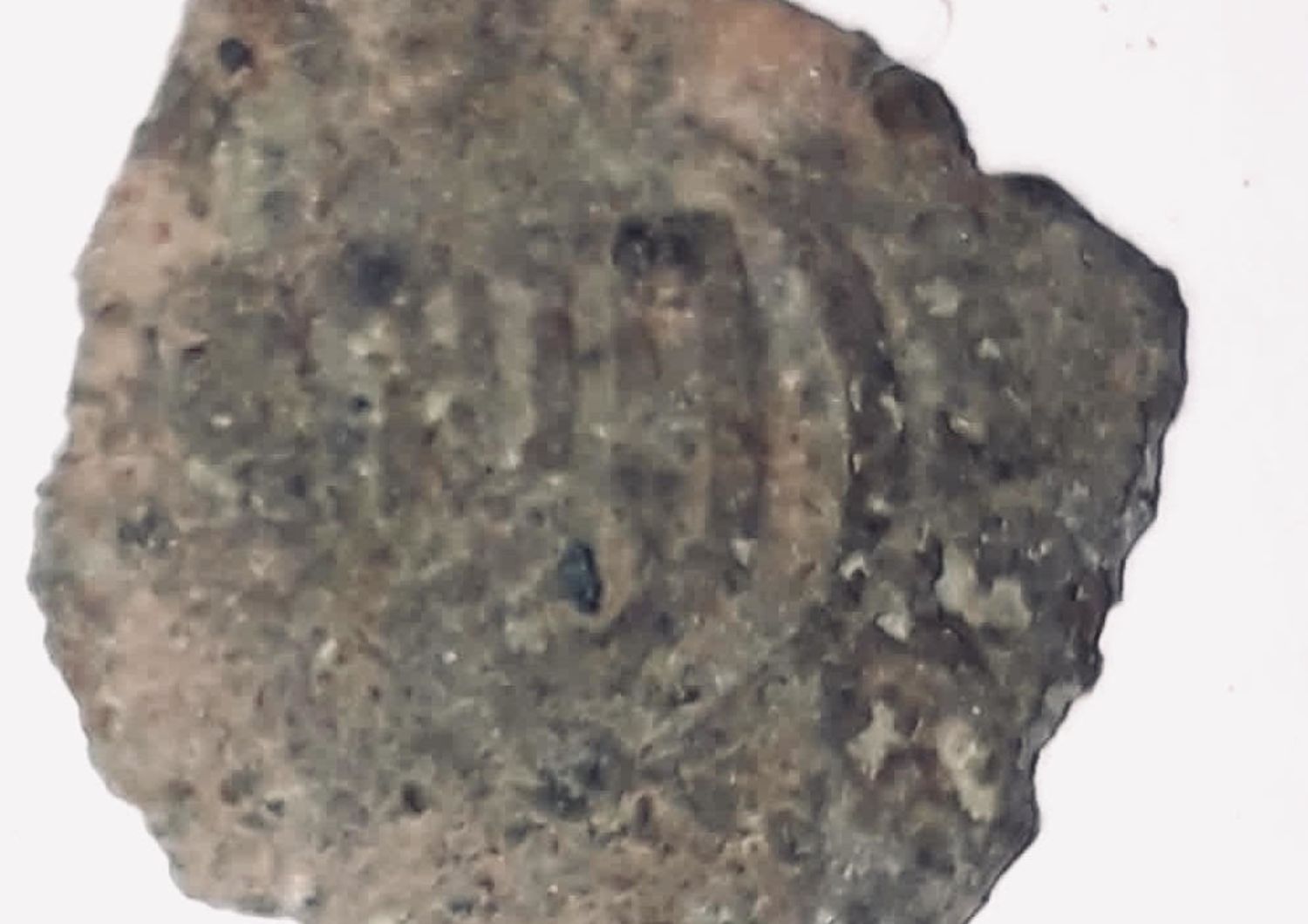 Una delle monete recuperate durante gli scavi a Palermo