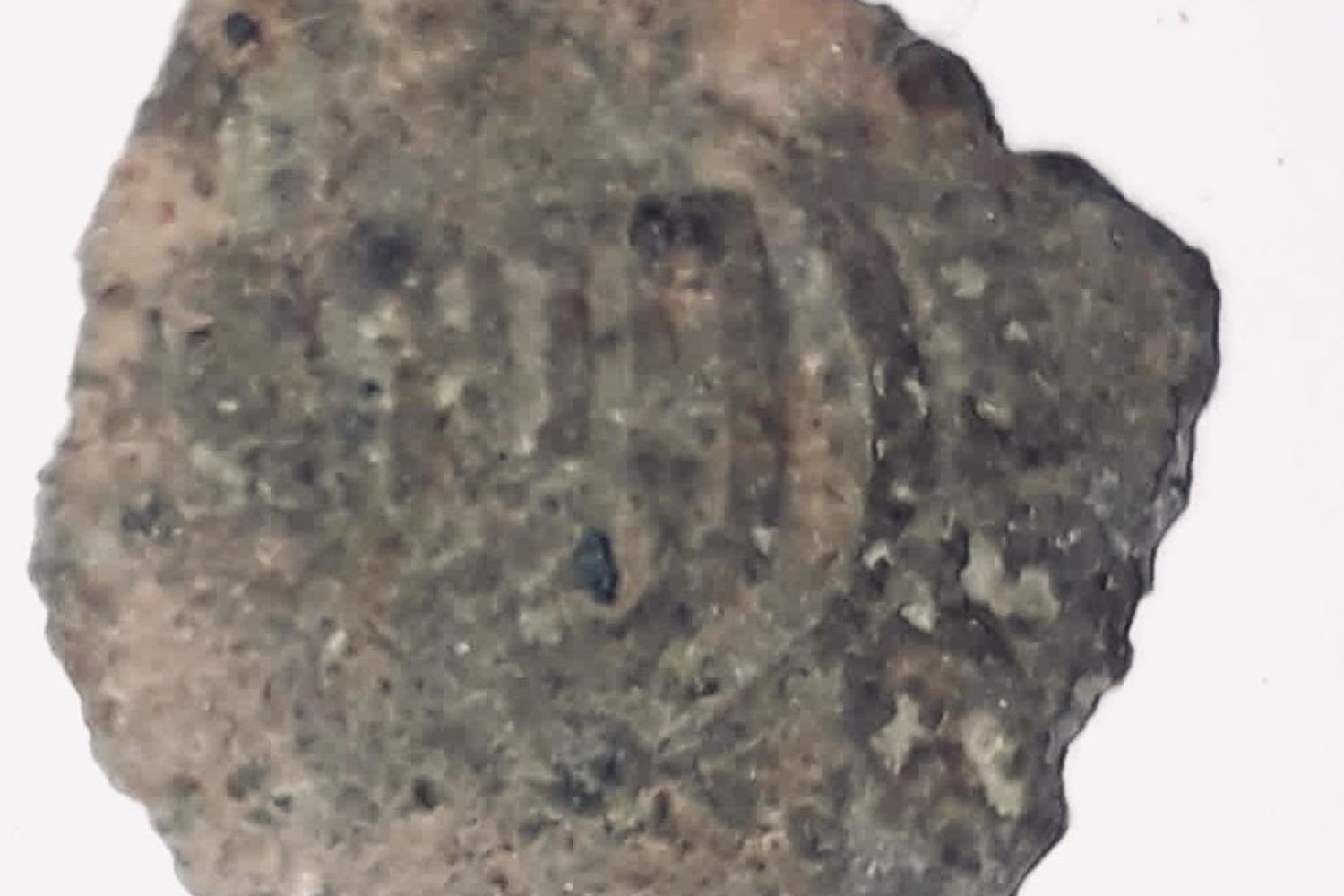 Una delle monete recuperate durante gli scavi a Palermo