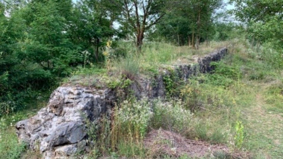 Variante di Demonte, Cuneo