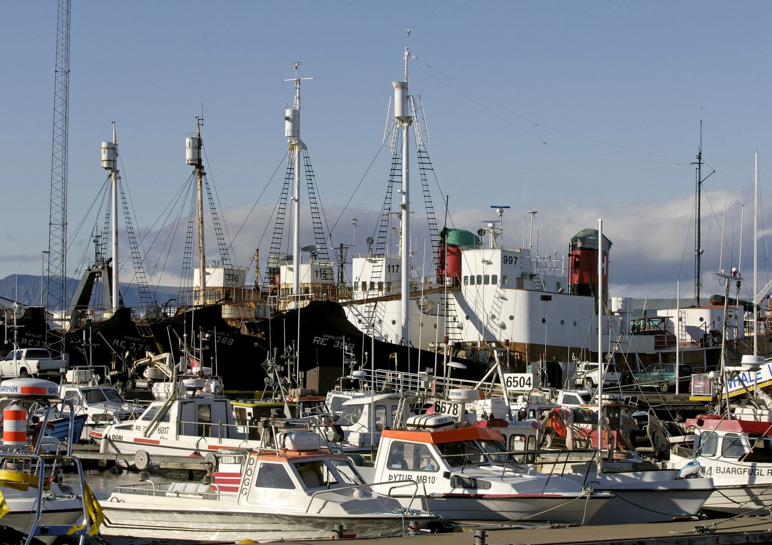 Reykjavik