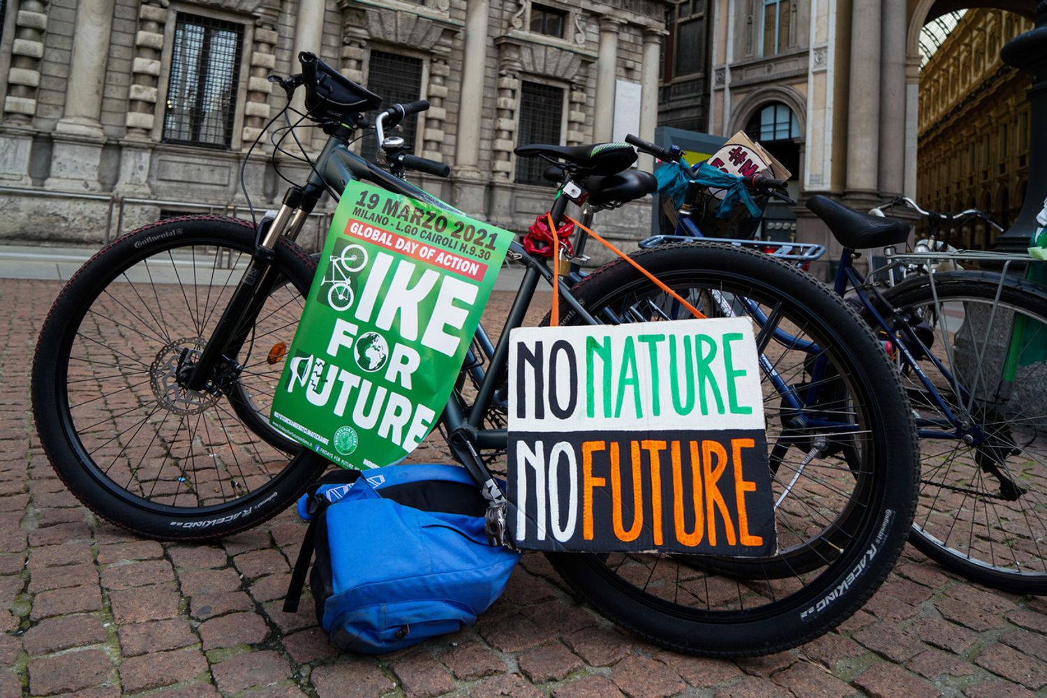 Fridays for Future a Milano