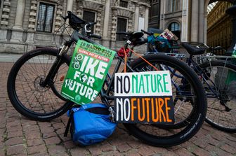 Fridays for Future a Milano