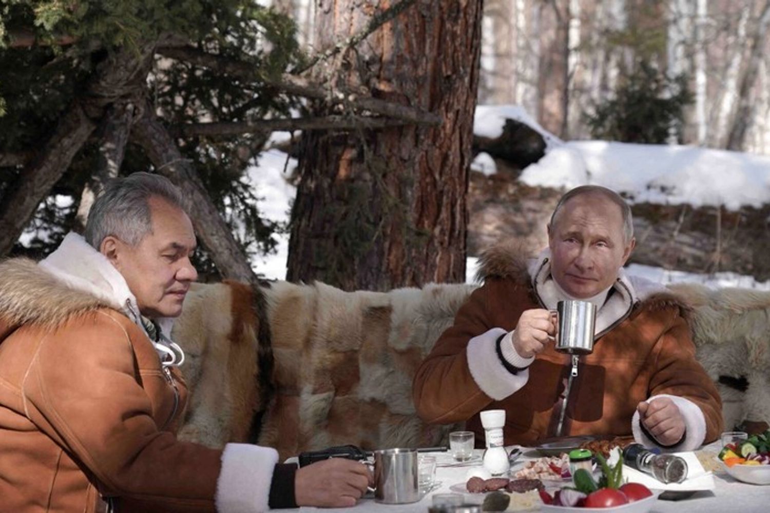Shoigu e Putin