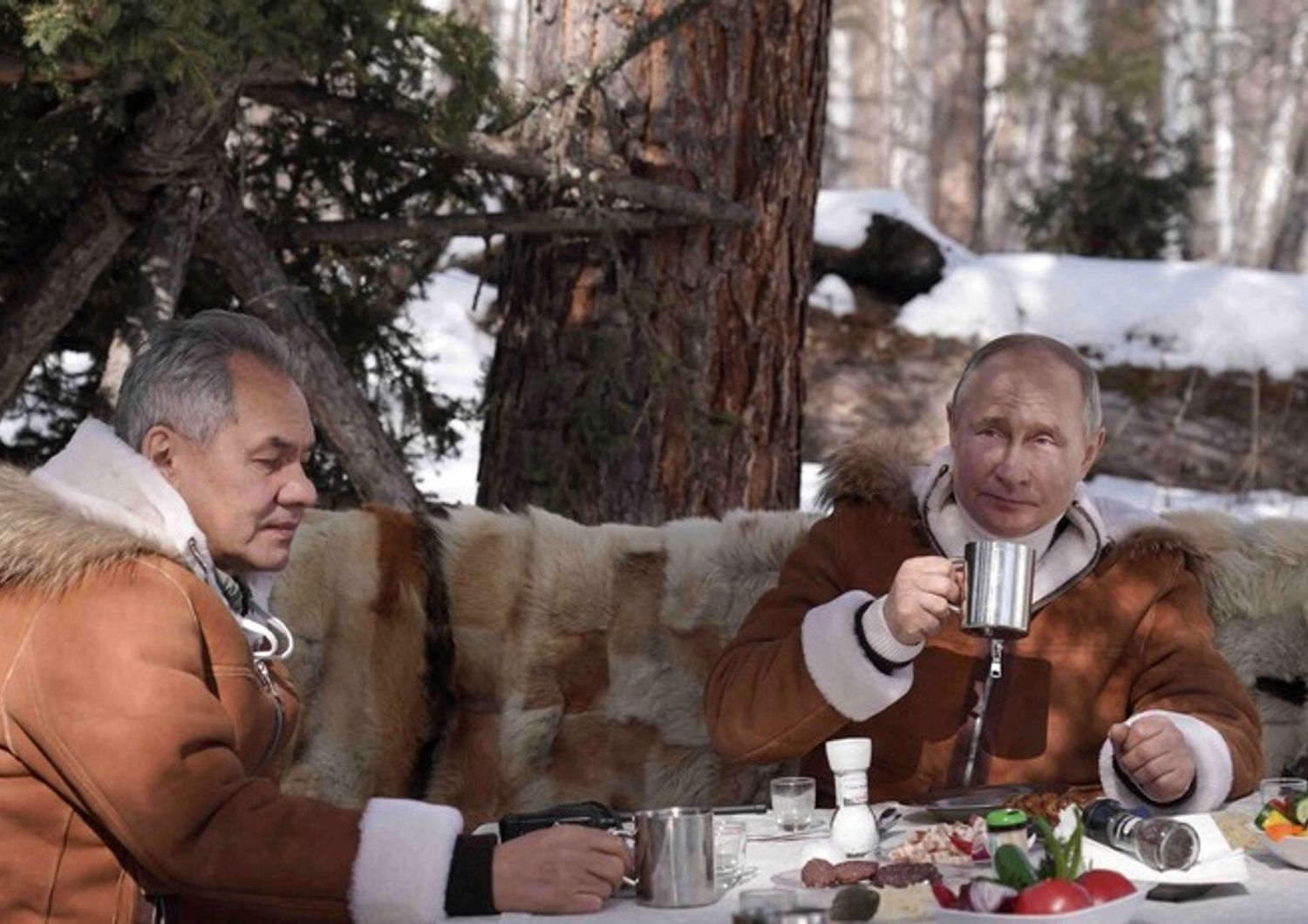 Shoigu e Putin