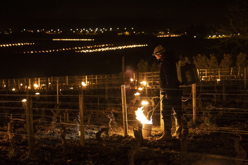 Agricoltori accendono fuochi in Francia per combattere le gelate e salvare i raccolti
