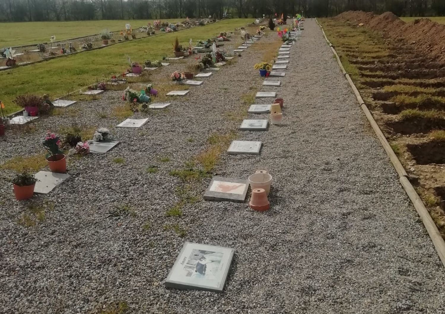 cimitero virtuale animali milano