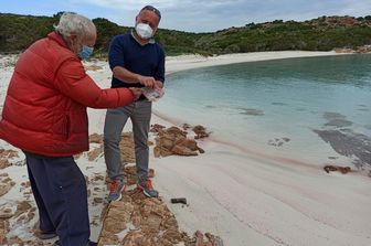 &nbsp;Morandi e Zanelli