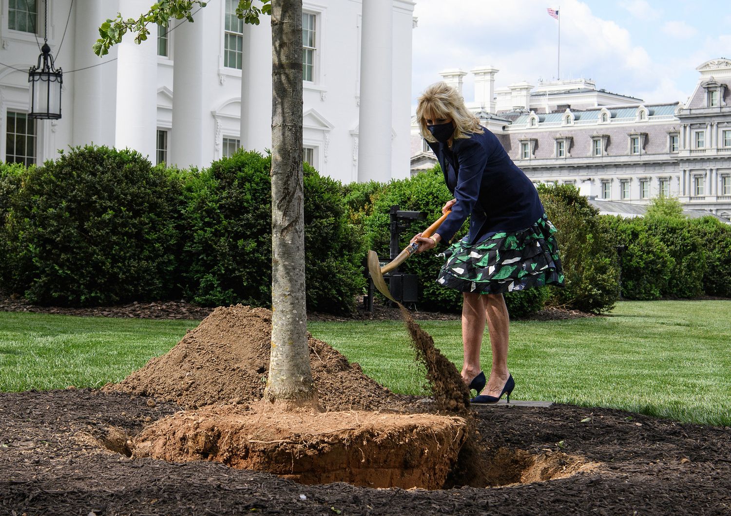 Jill Biden pianta un albero nel giardino della Casa Bianca