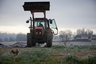 contadino belga sposta confine francia