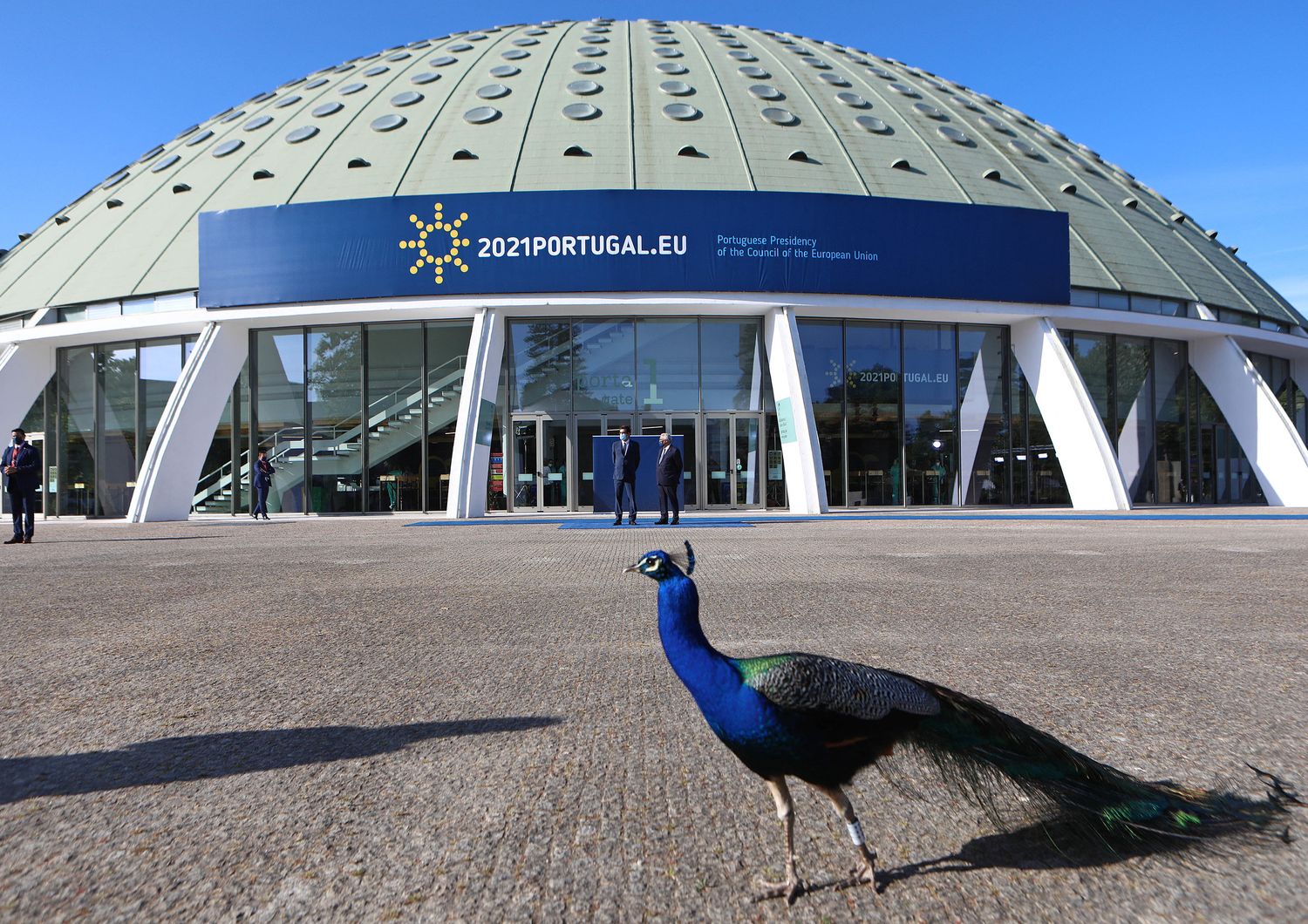 Il pavone che ha interrotto Draghi durante il vertice di Oporto&nbsp;