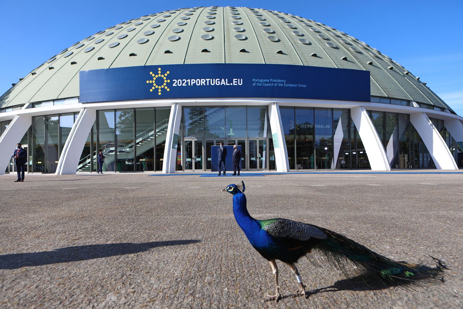 Il pavone che ha interrotto Draghi durante il vertice di Oporto&nbsp;