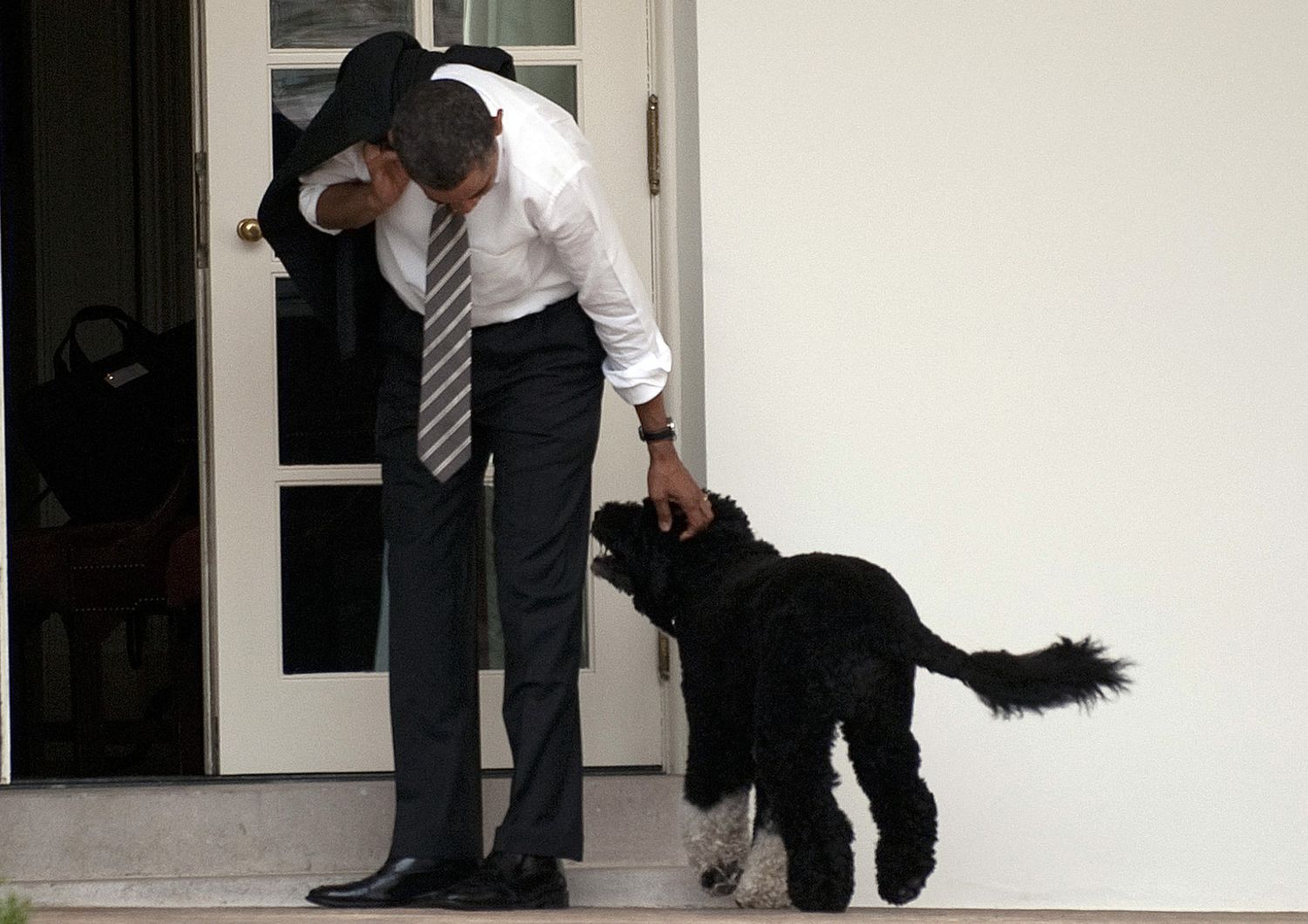 &nbsp;Barack Obama e Bo, il pastore portoghese adottato nel 2009