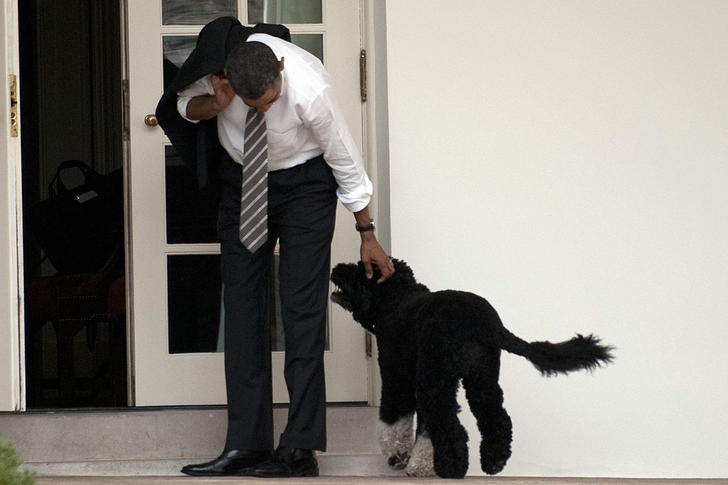 &nbsp;Barack Obama e Bo, il pastore portoghese adottato nel 2009
