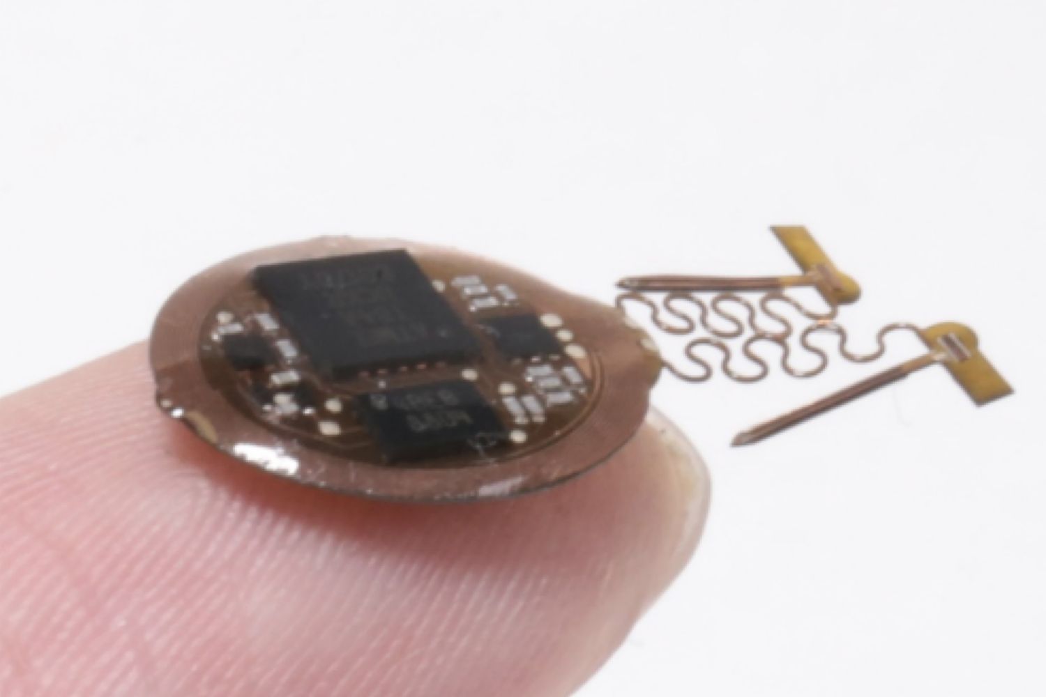 Il dispositivo wireless completamente impiantabile consente la ricerca ontogenetica negli animali&nbsp;