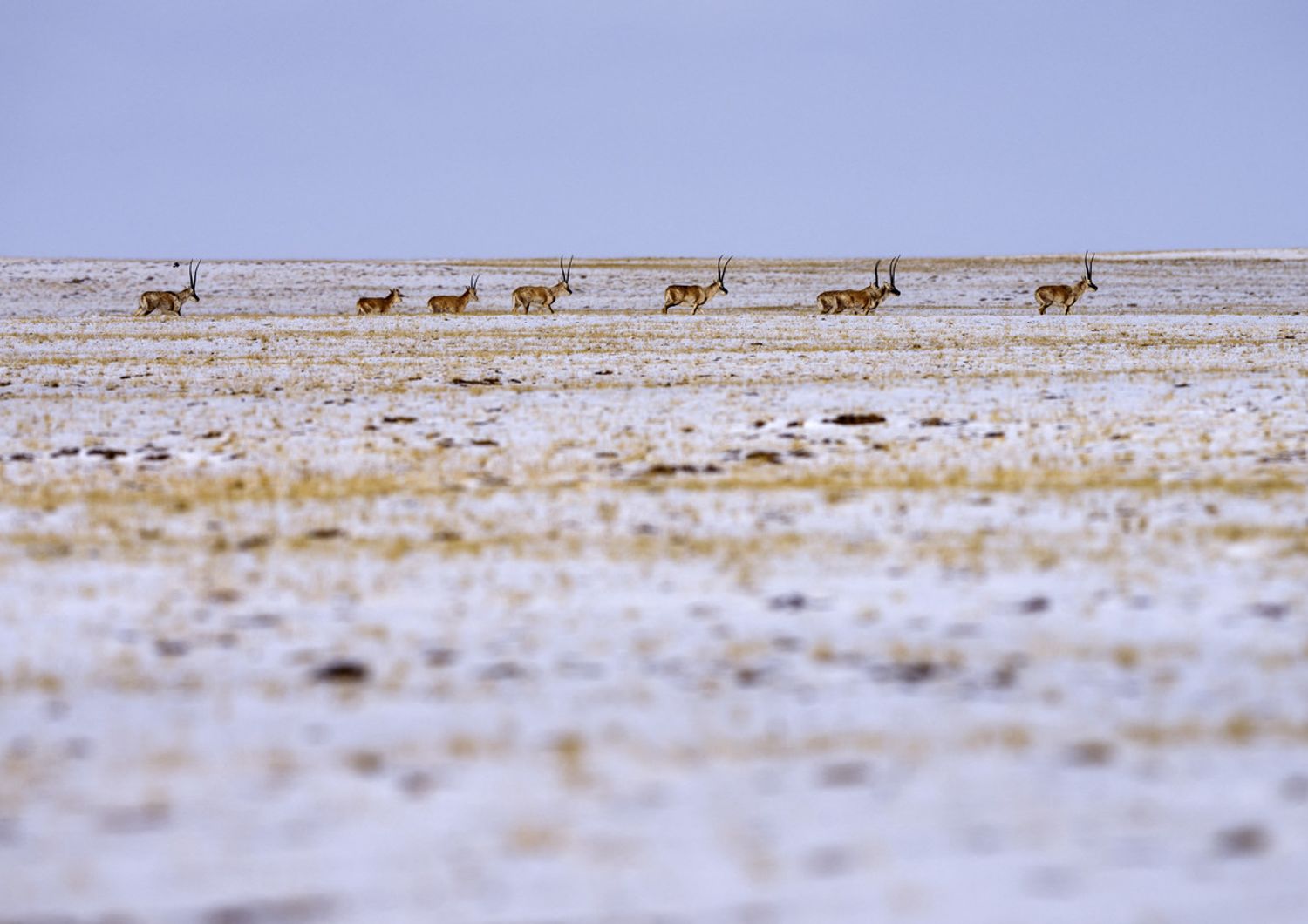 &nbsp;Qinghai, China