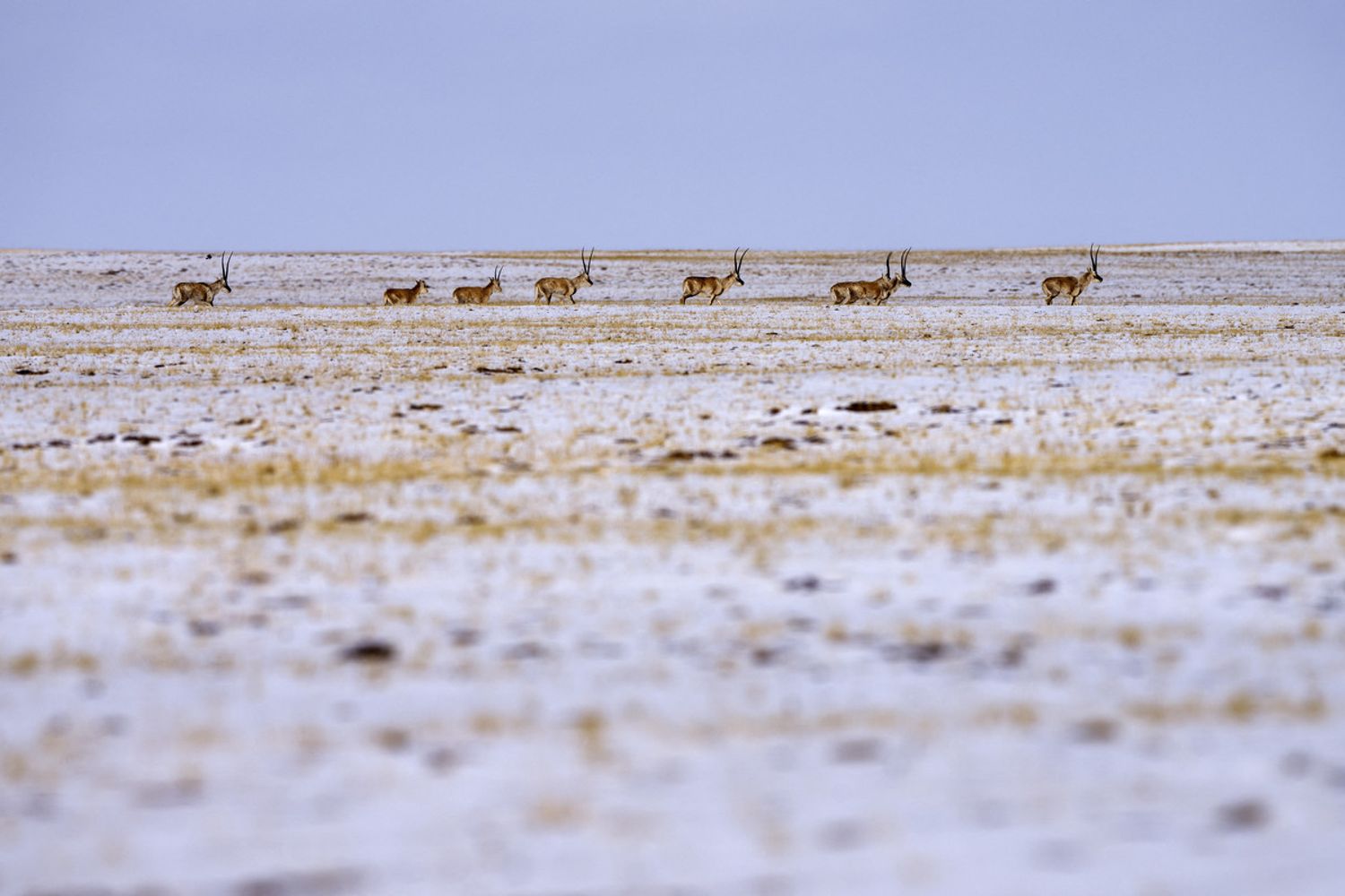 &nbsp;Qinghai, China