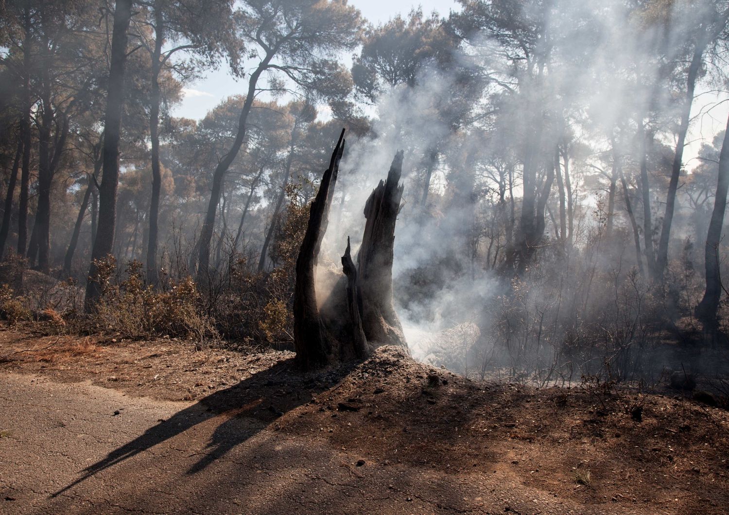 Grecia, incendio