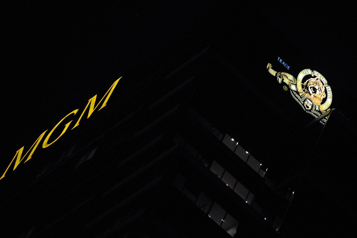 Le insegne della Metro-Golwyn-Mayer