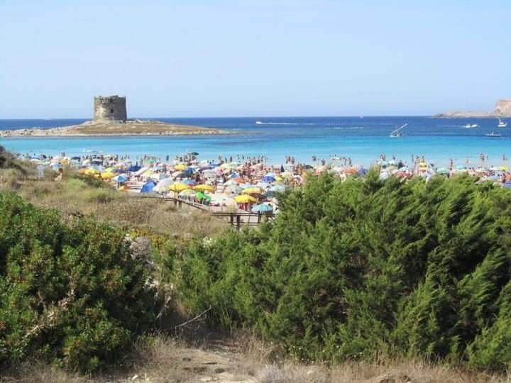 spiaggia La Pelosa a Stintino