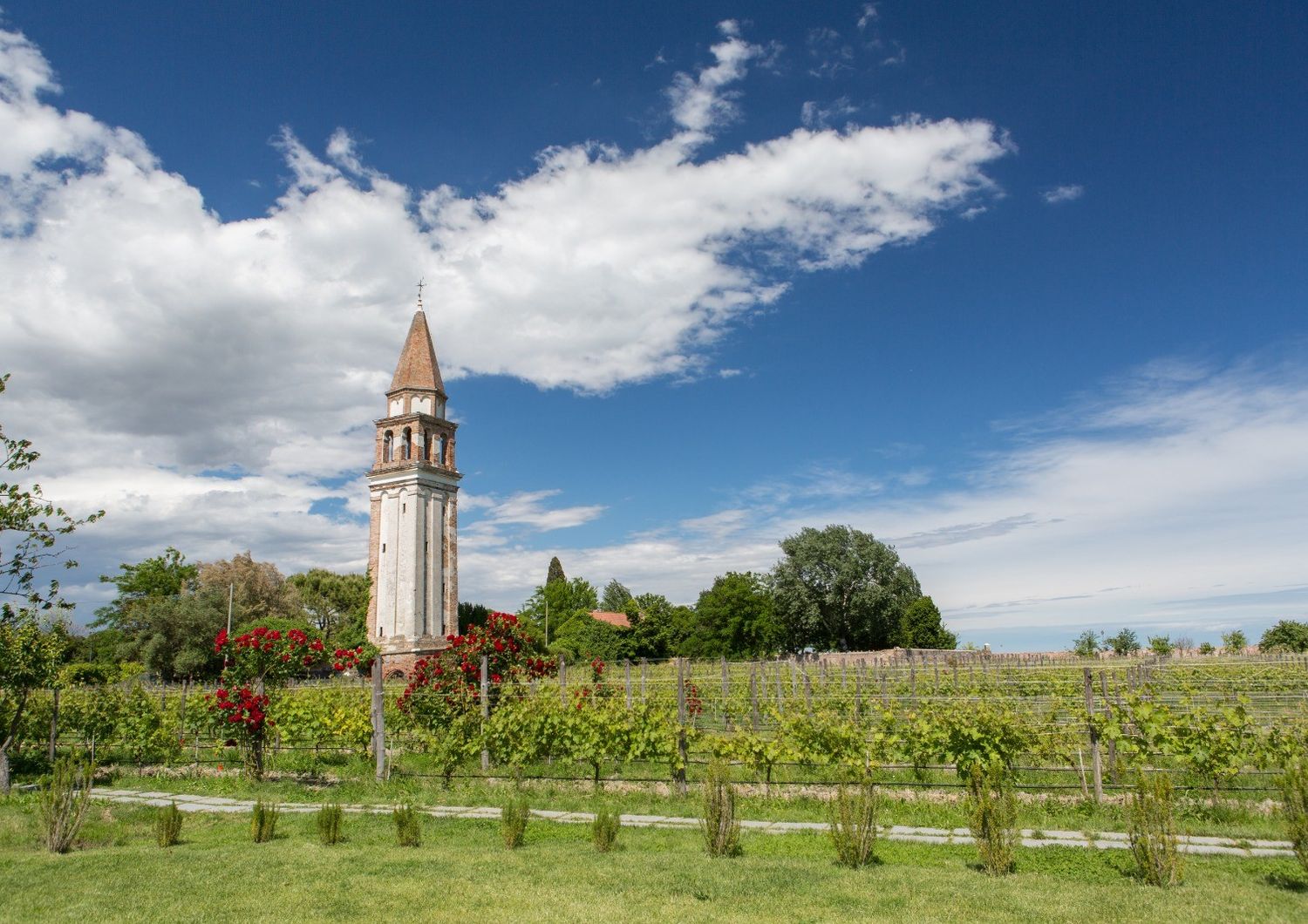 agricoltura eroica vitigno autoctono veneziano