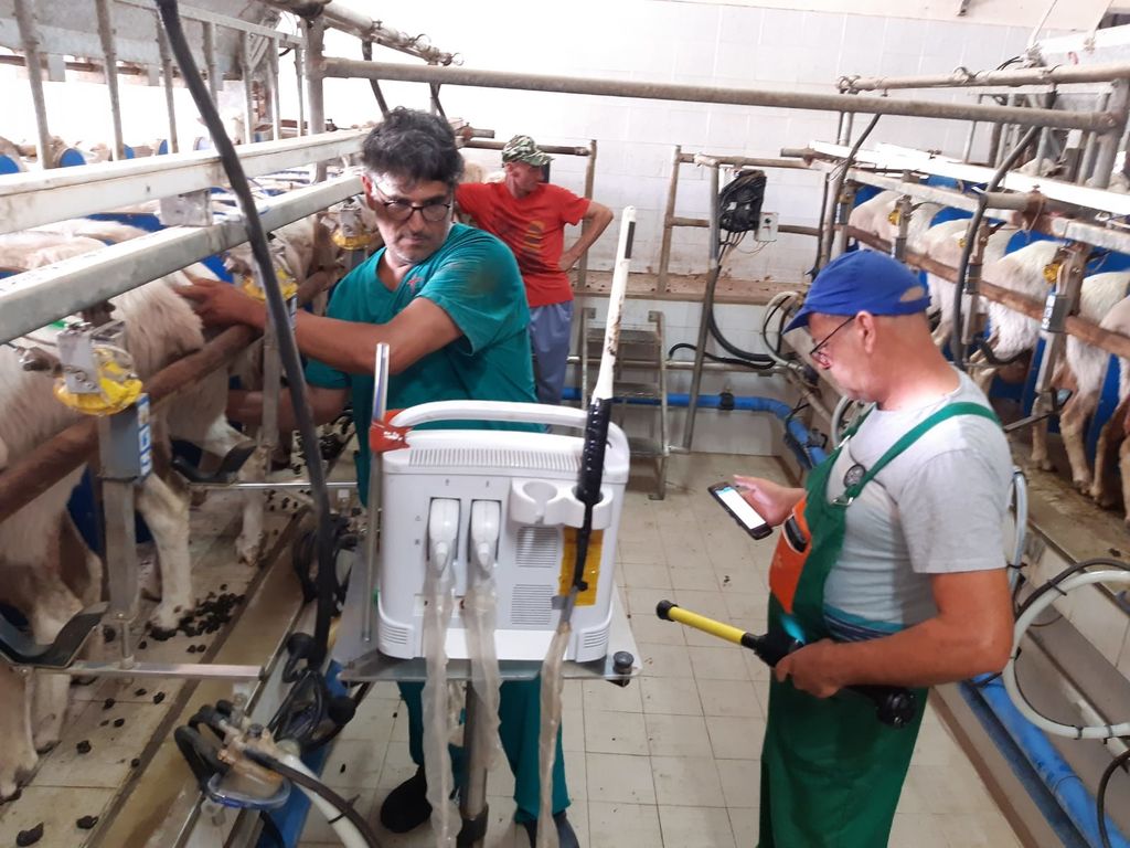 Il veterinario Chicco Argiolas in un'azienda zootecnica della Sardegna