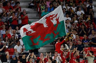 Tifoso del Galles