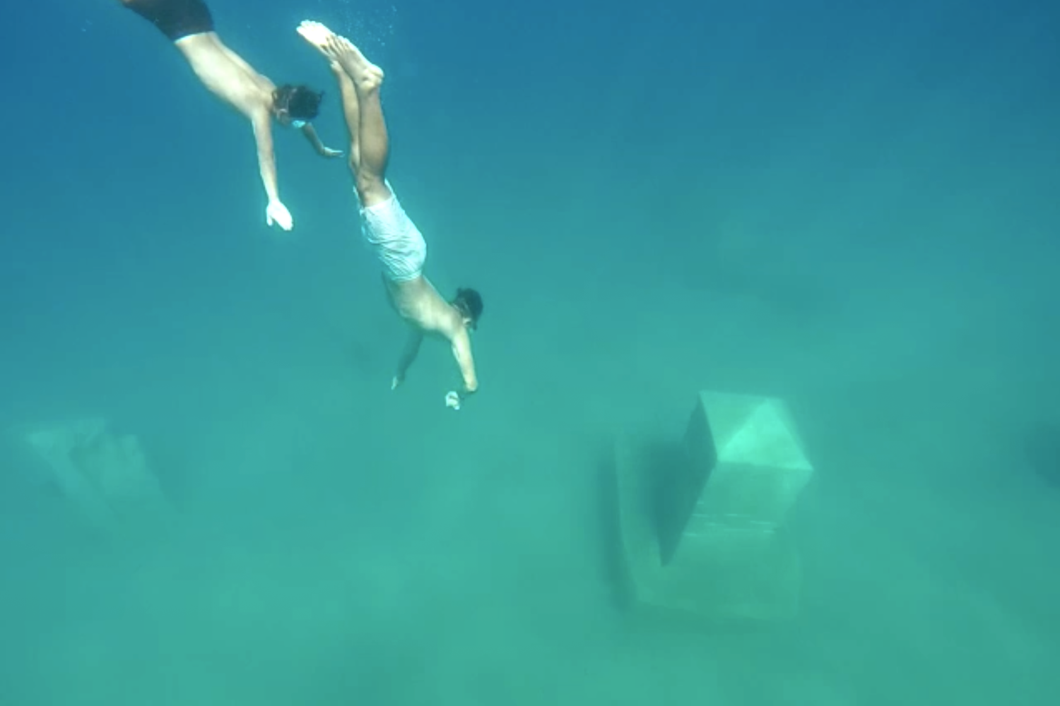 La Casa dei Pesci. Ittico obelisco, di Massimo Catalani