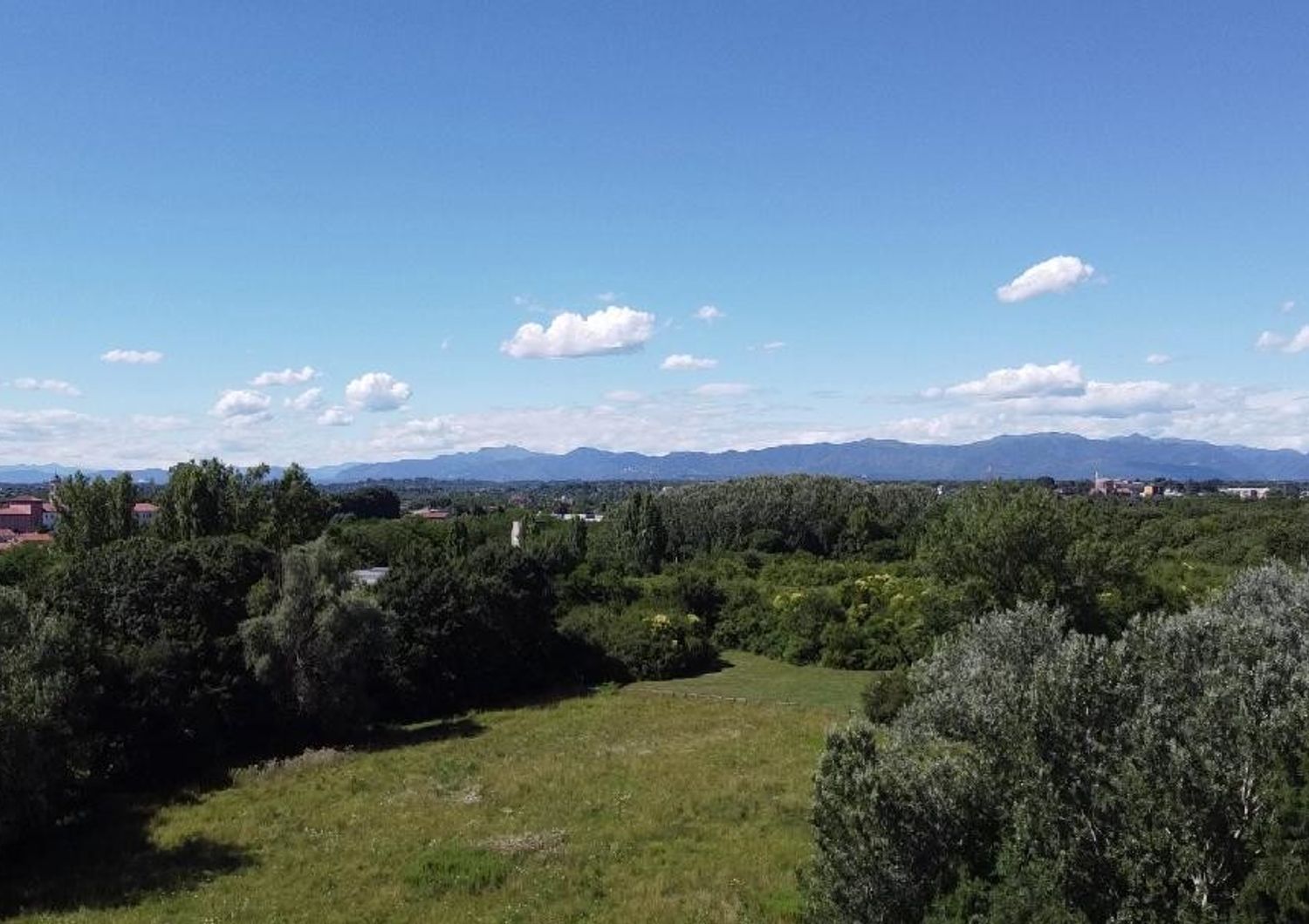 Il 'Bosco delle Querce' di Seveso&nbsp;