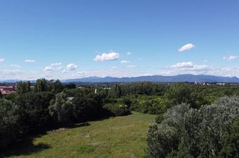 Il 'Bosco delle Querce' di Seveso&nbsp;