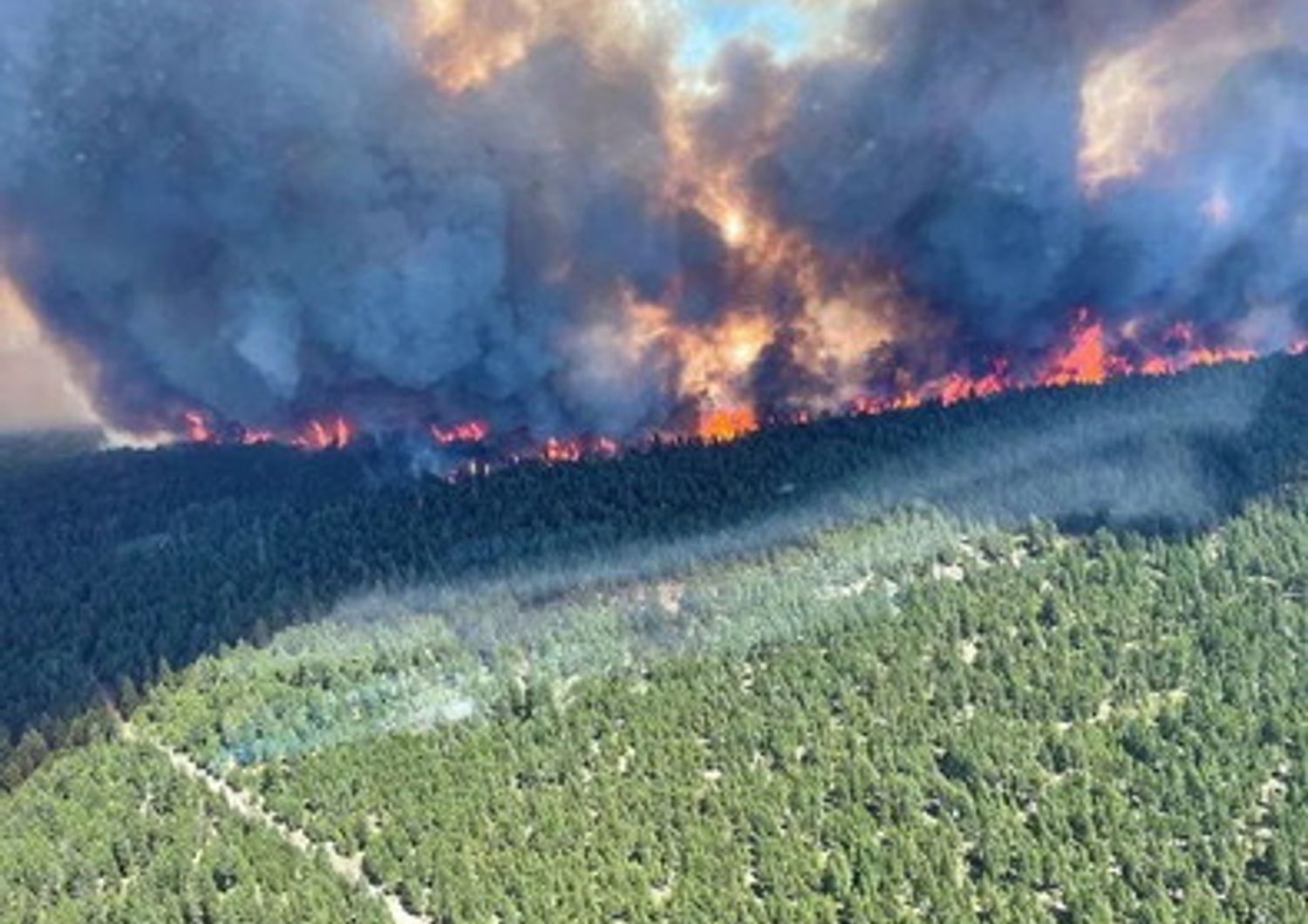 Incendi in Canada