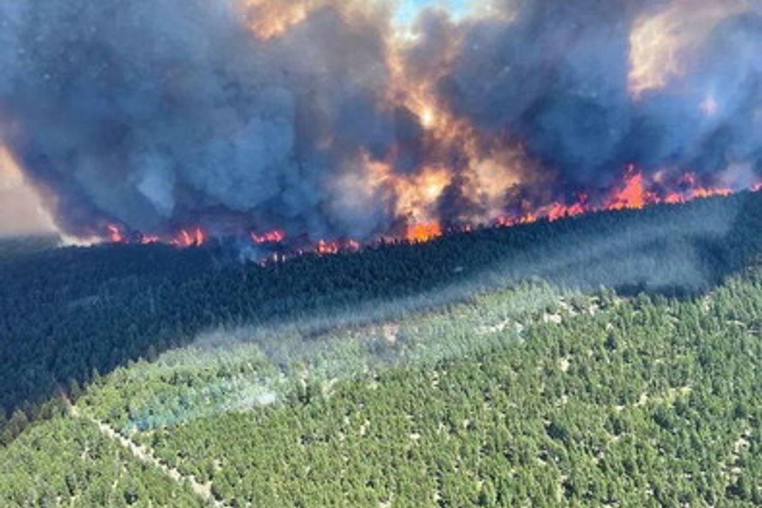 Incendi in Canada