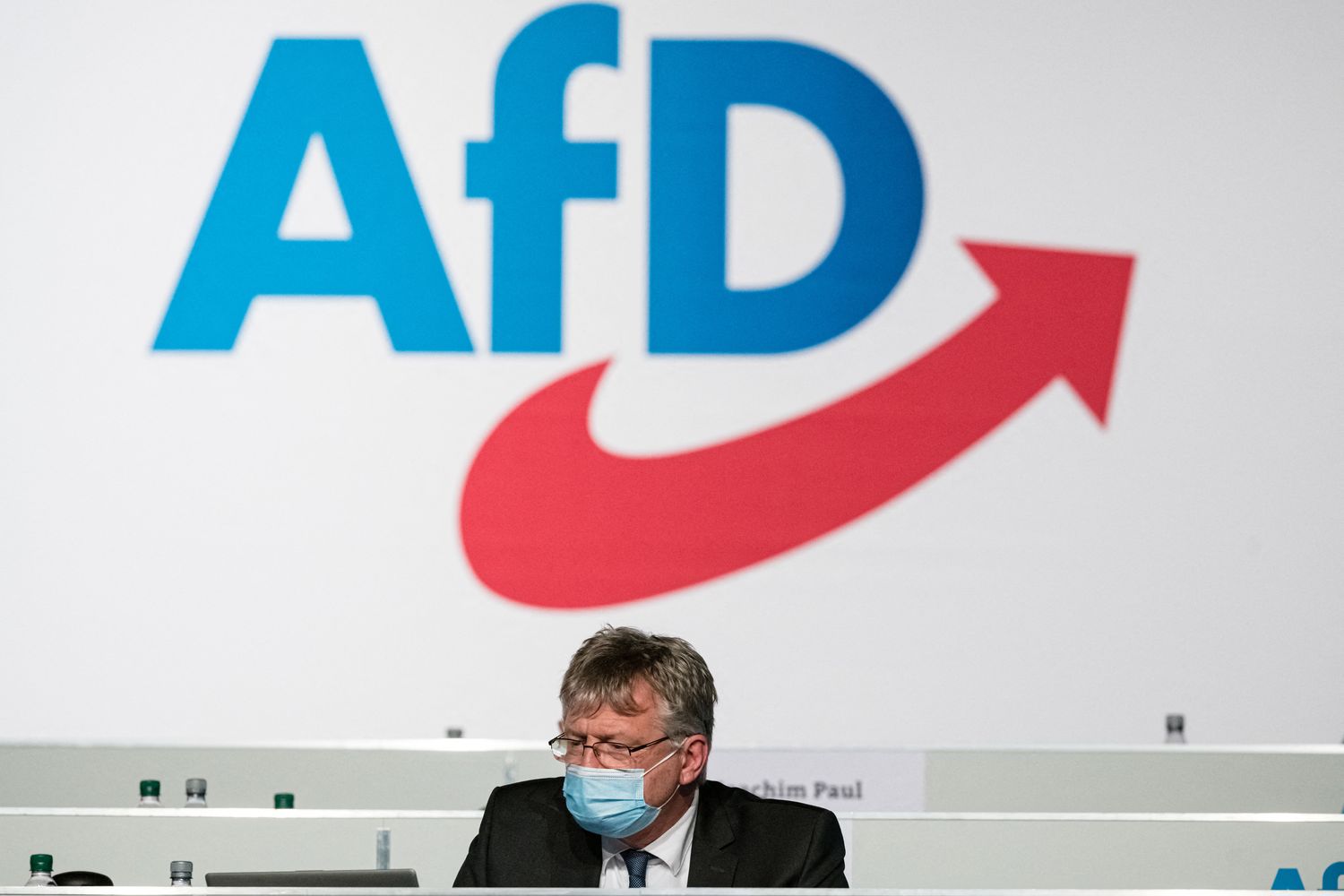 Il leader dell'Afd, Joerg Meuthen