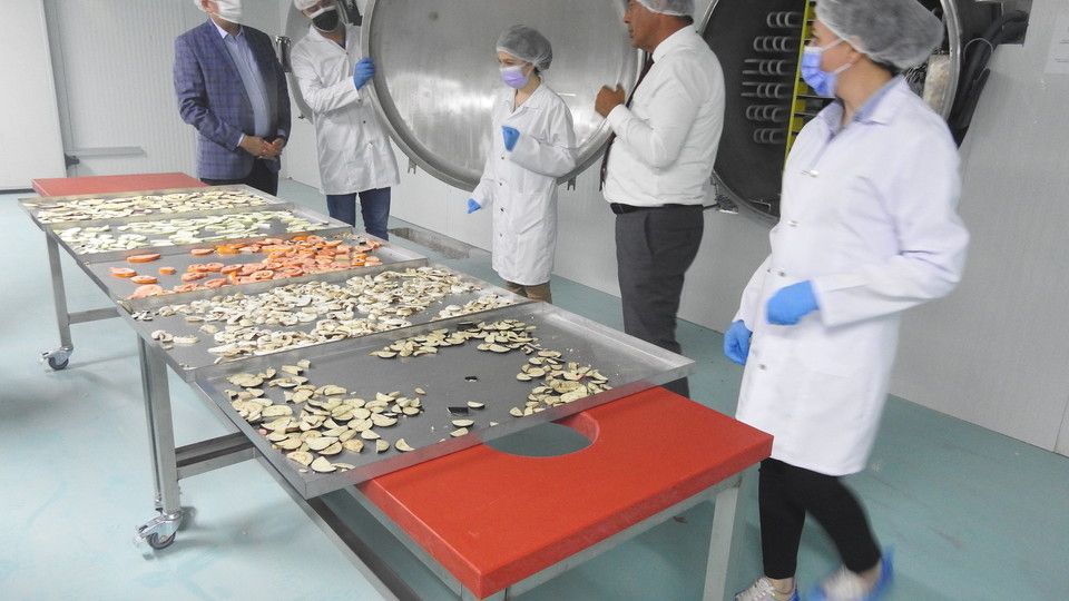 Turchia, scuola di agricoltura