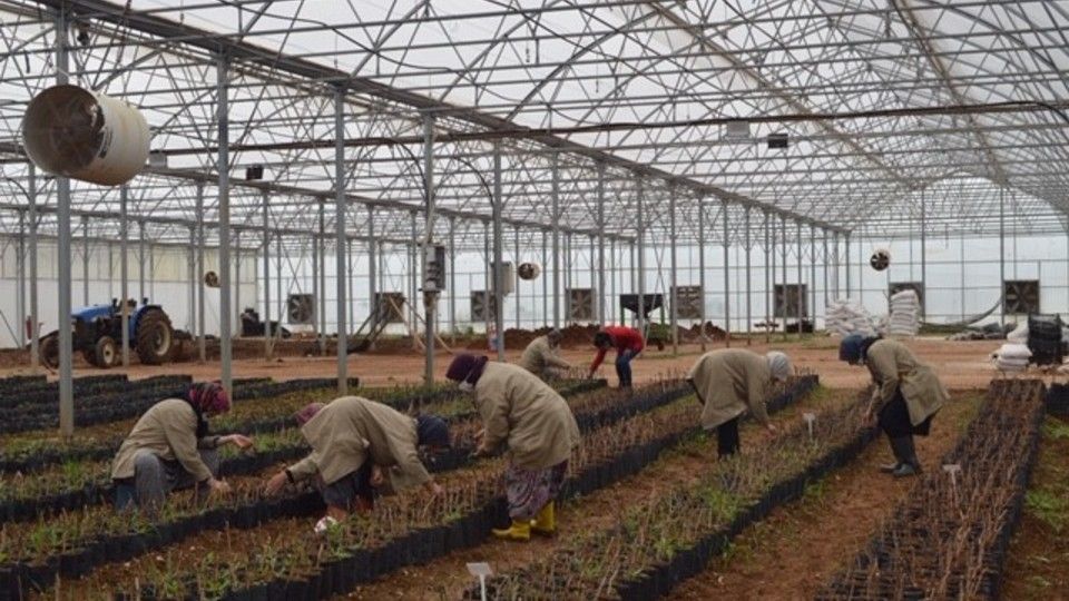 Turchia, scuola di agricoltura