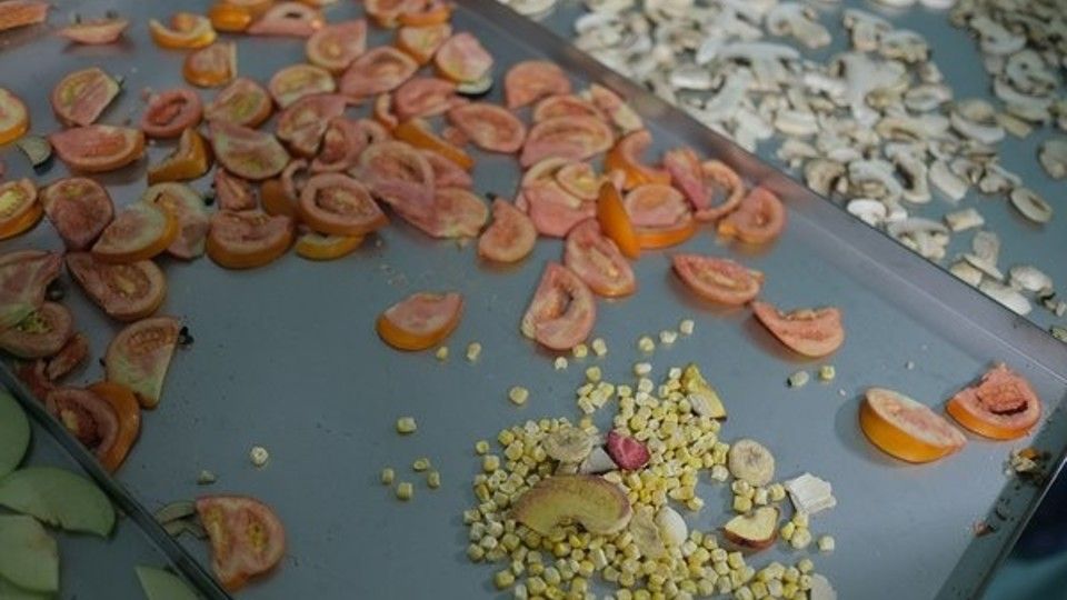 Turchia, scuola di agricoltura