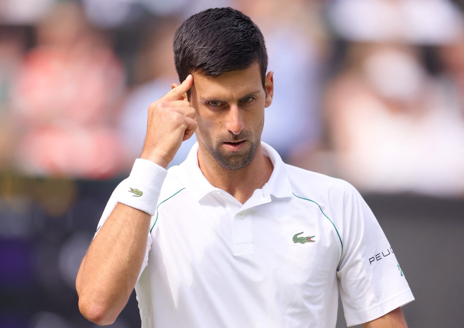 Novak Djokovic, finale Wimbledon