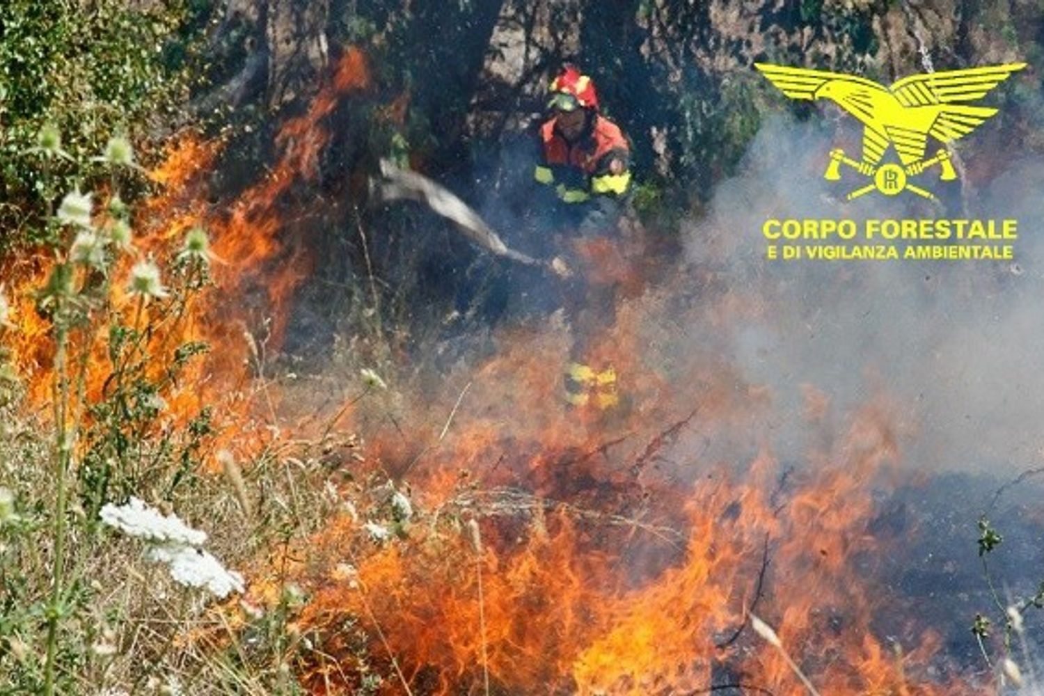 Le operazioni di spegnimento dell'incendio nell'Oristanese