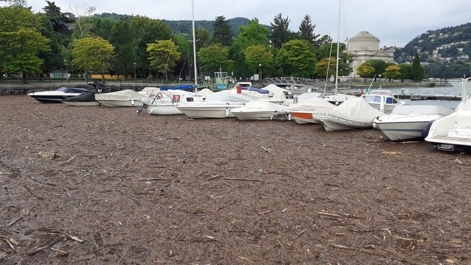 I detriti portati dall'alluvione che hanno invaso il lago di Como