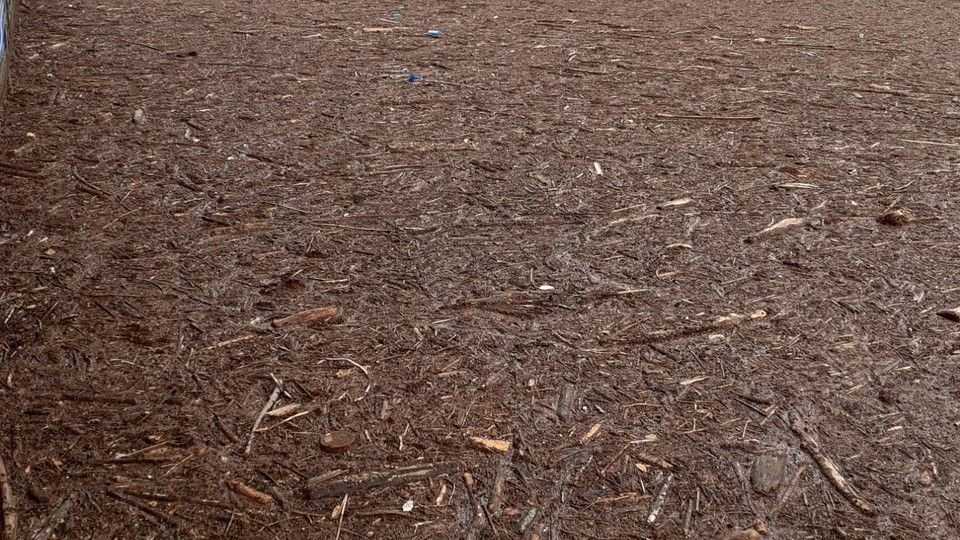 I detriti portati dall'alluvione che hanno invaso il lago di Como