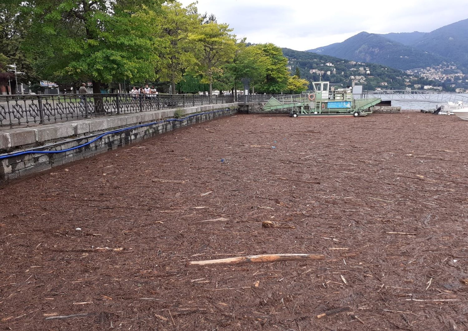 Il lago di Como coperto dai detriti