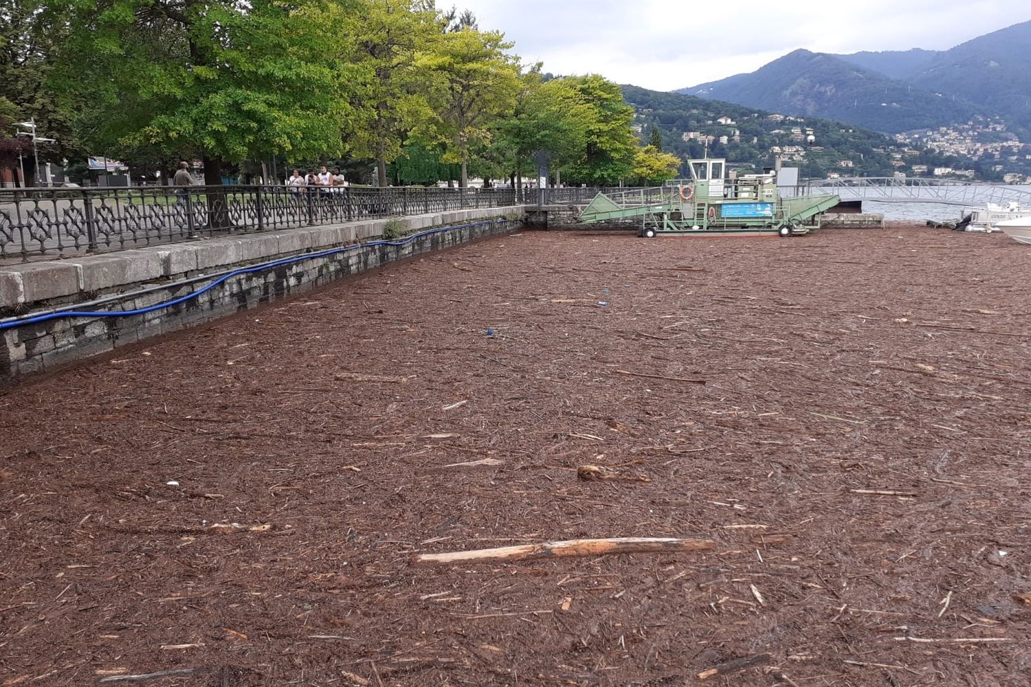 Il lago di Como coperto dai detriti