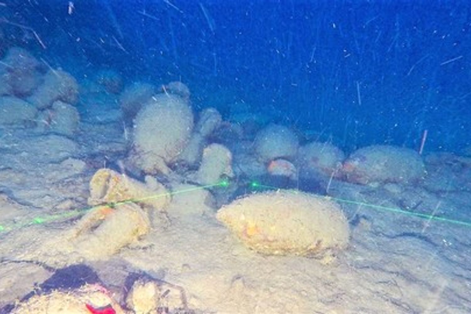 &nbsp;Il carico di anfore nel relitto romano scoperto nel mare di Isola delle Femmine