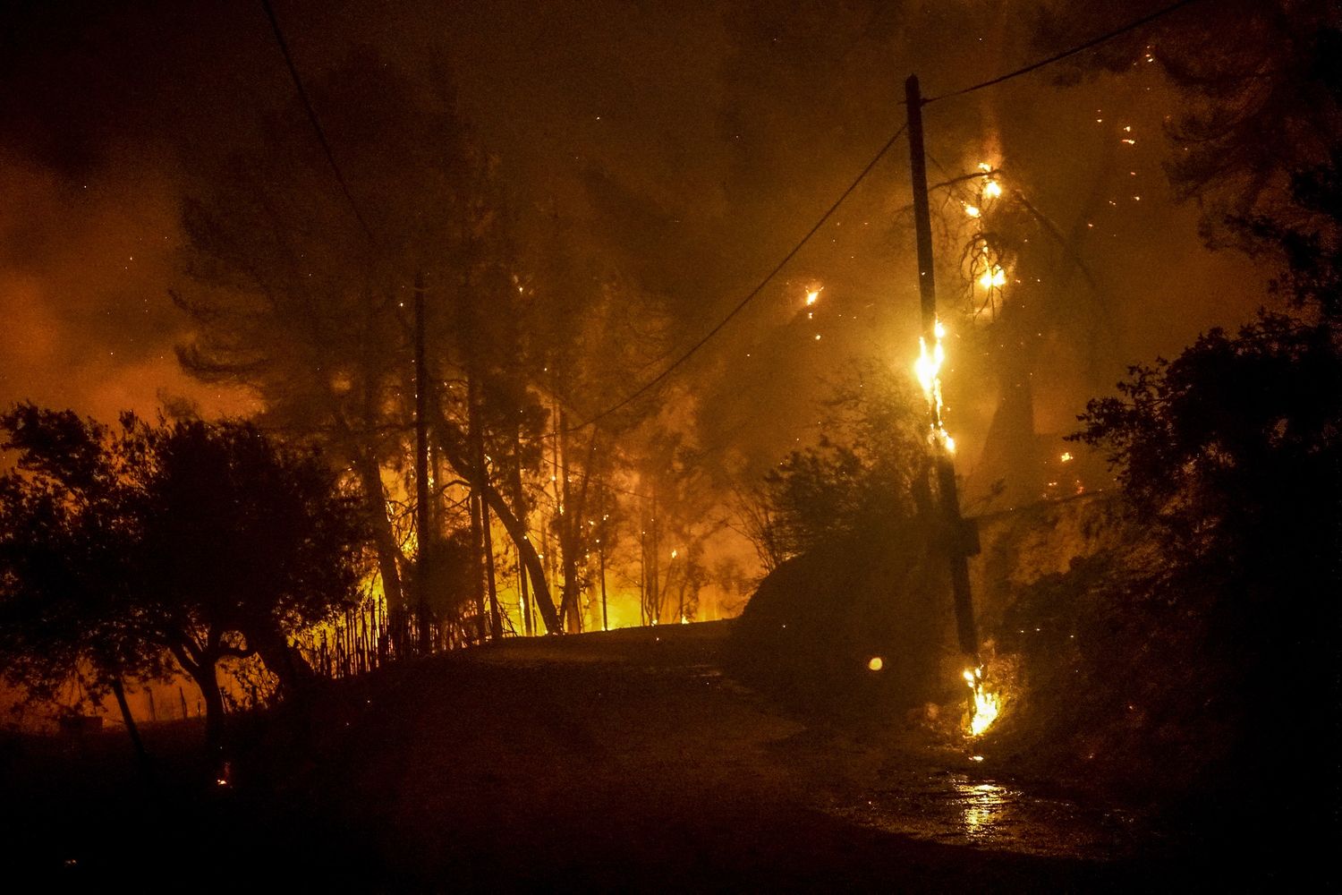 &nbsp;incendi in Grecia Olimpia