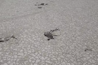 Turchia, Lago del Sale