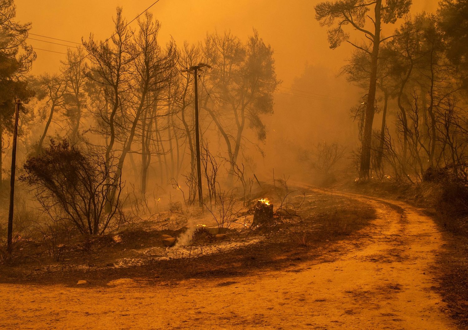 L'incendio che ha colpito l'isola di Evia in Grecia