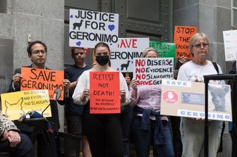 Corteo Downing Street salvare alpaca Geronimo