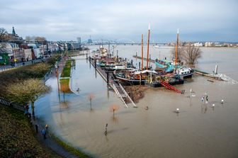 Effetti cambiamento climatico nei Paesi Bassi