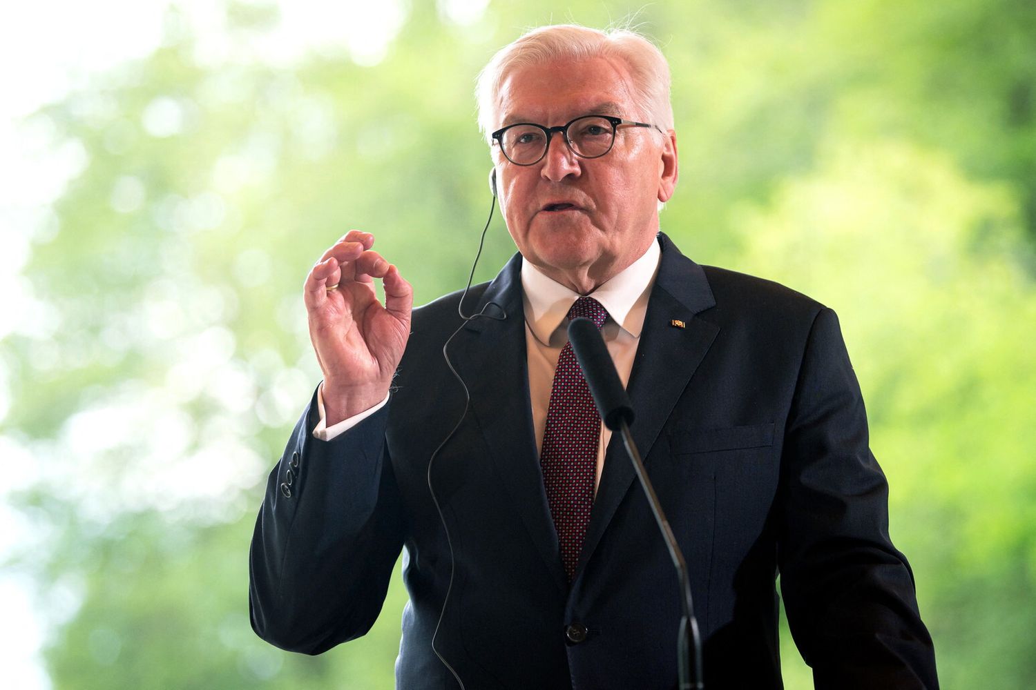 Frank-Walter Steinmeier&nbsp;