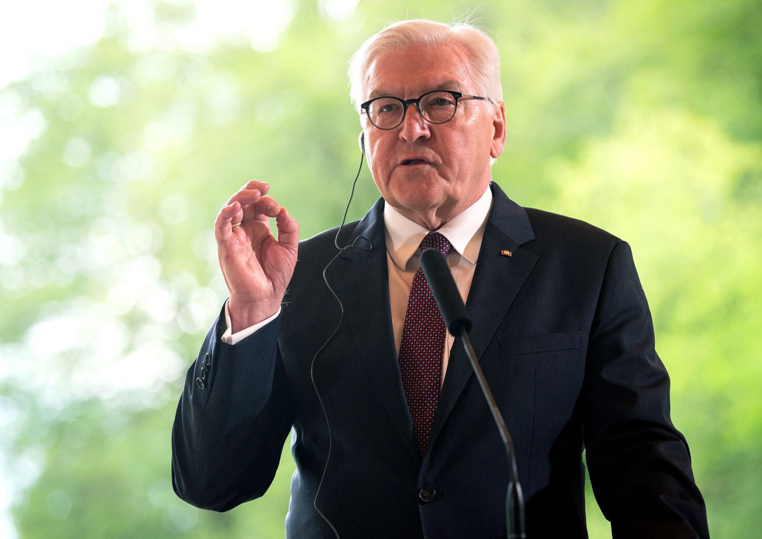 Frank-Walter Steinmeier&nbsp;