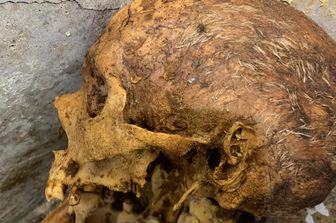 Il cranio di Marcus Venerius Secundus